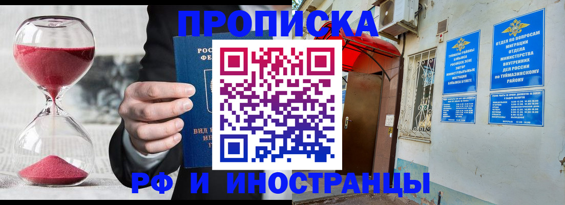 прописка 2025 в Волхове